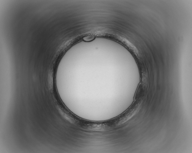 X0000111610493200908071333
