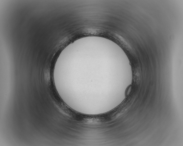 X0000111610500200908071333