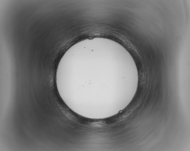 X0000111610505200908071333