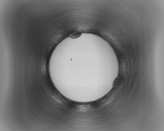 X0000111610508200908071333
