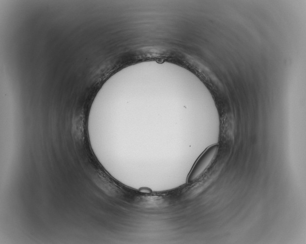X0000111610509200908071333
