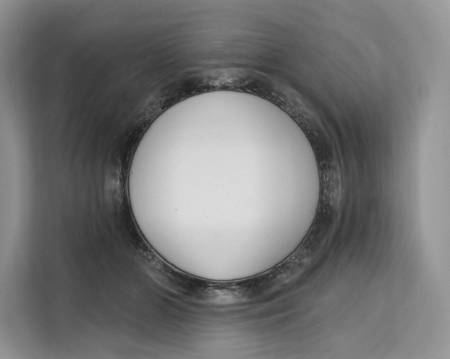 X0000111610510200908071333