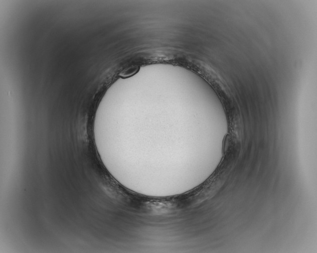 X0000111610512200908071333