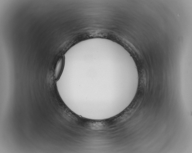 X0000111610513200908071333