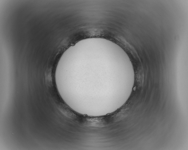 X0000111610516200908071333