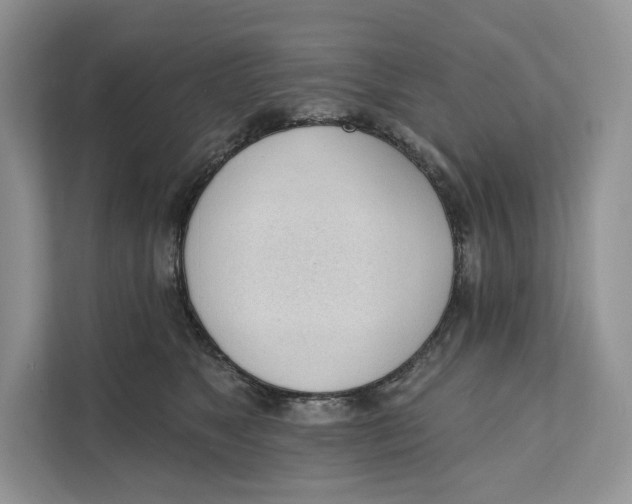 X0000111610517200908071333