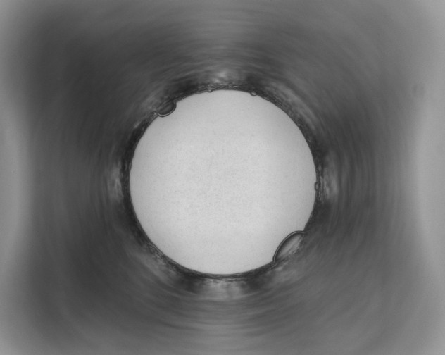 X0000111610520200908071333