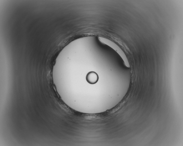 X0000111610521200908071333