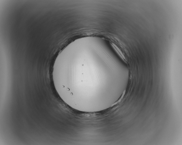 X0000111610524200908071333