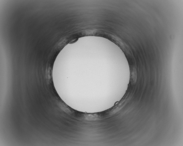 X0000111610525200908071333