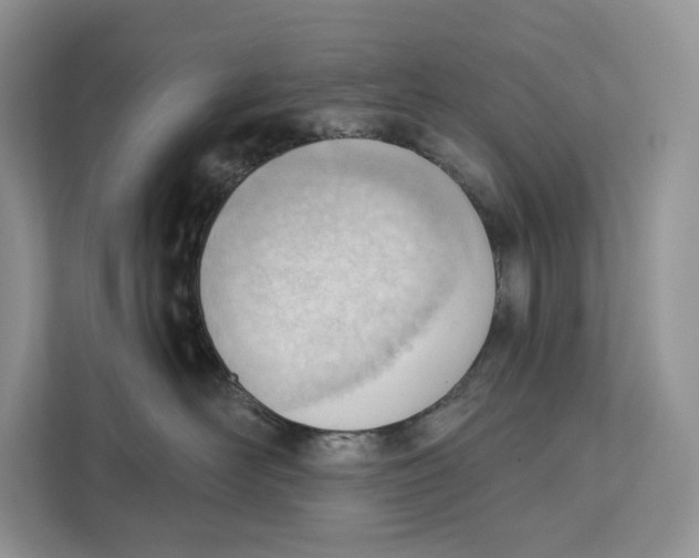 X0000111610526200908071333