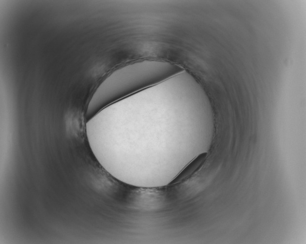 X0000111610528200908071333