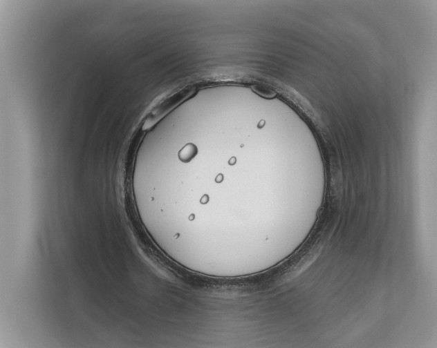 X0000111610530200908071332