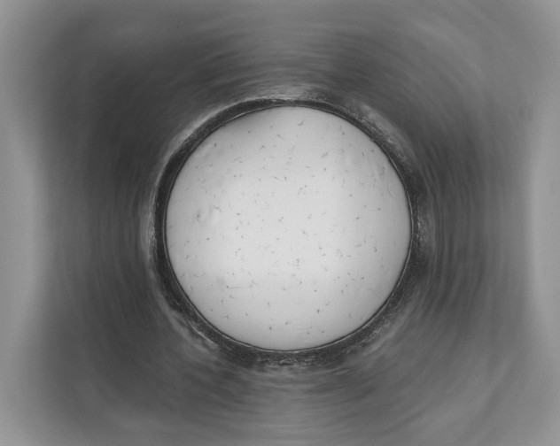 X0000111610532200908071332