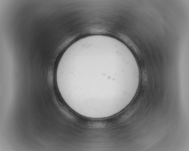 X0000111610533200908071332