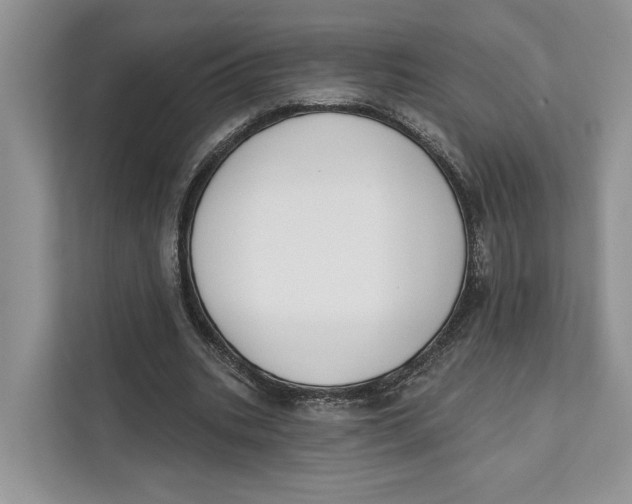 X0000111610535200908071332