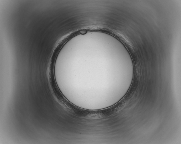 X0000111610536200908071332