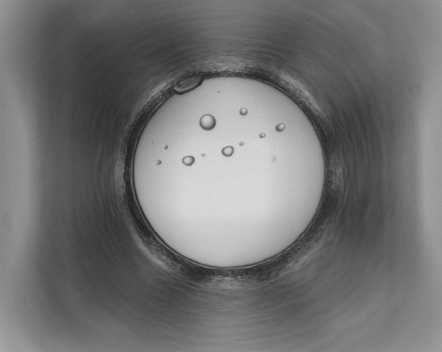 X0000111610538200908071333