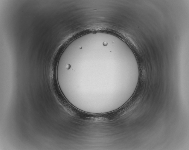 X0000111610539200908071333