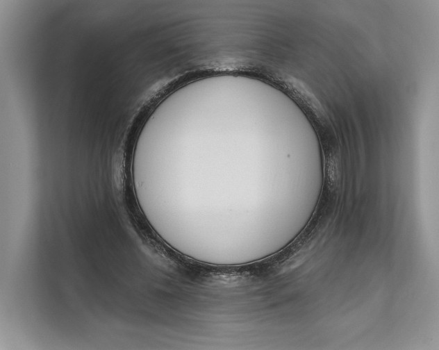 X0000111610540200908071333