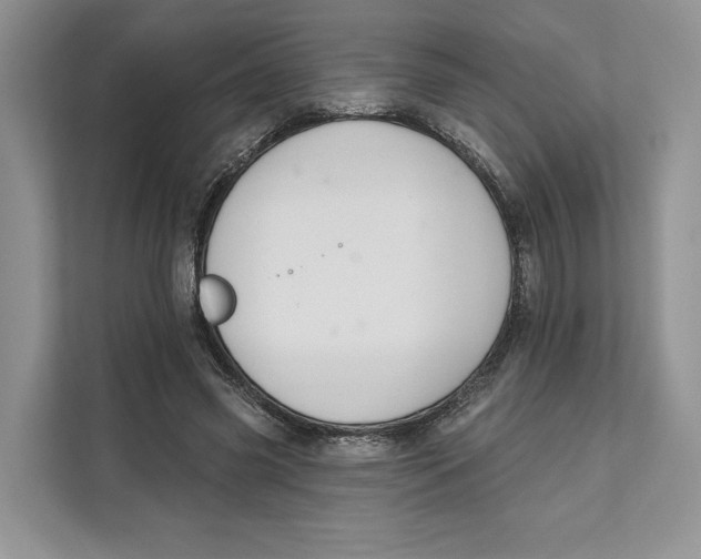X0000111610541200908071333
