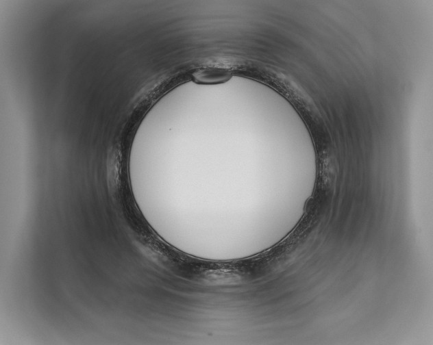 X0000111610544200908071333