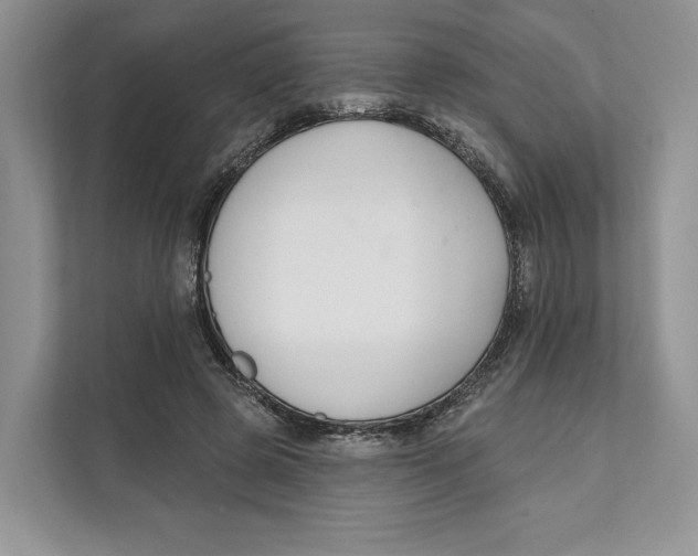 X0000111610545200908071333