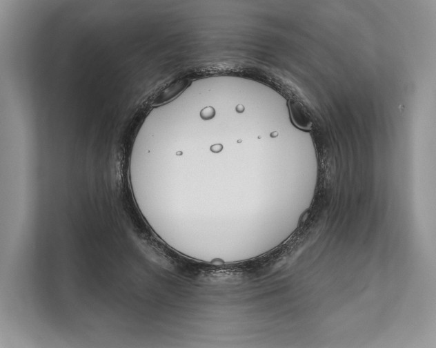X0000111610546200908071333