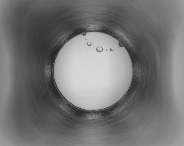 X0000111610549200908071333