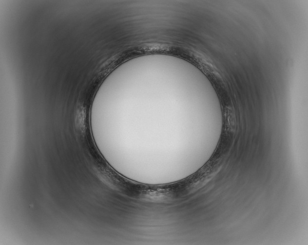 X0000111610550200908071333