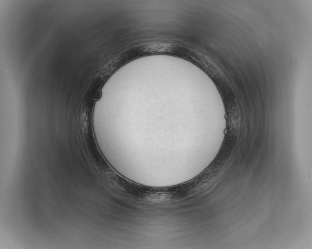 X0000111610551200908071333