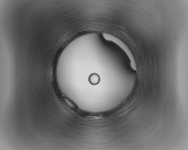 X0000111610552200908071333