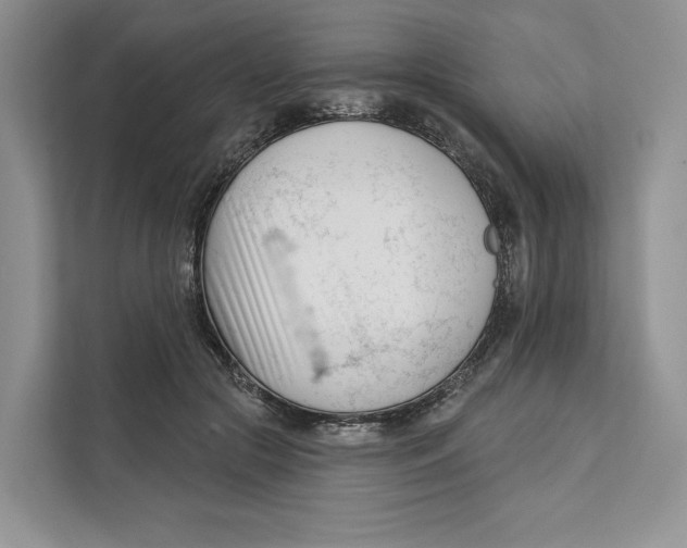 X0000111610553200908071333