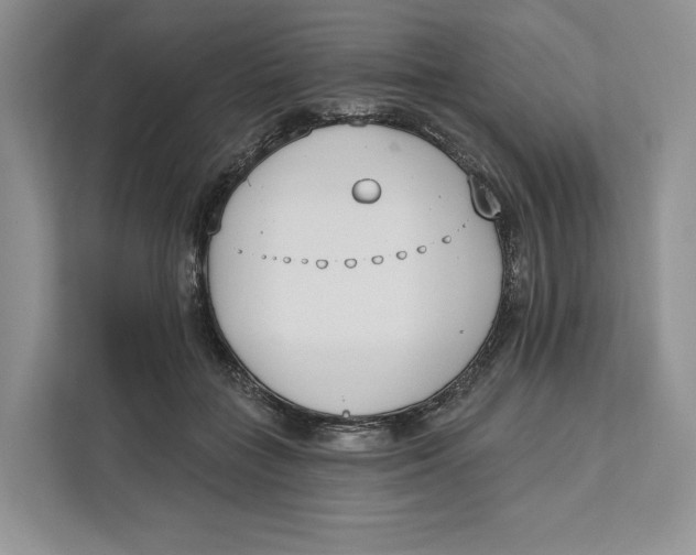 X0000111610555200908071333