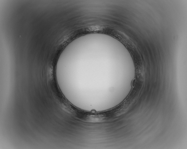 X0000111610556200908071333