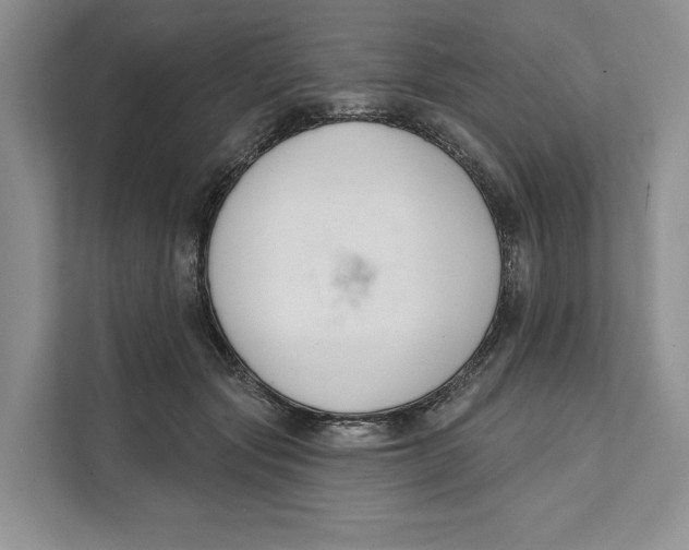 X0000111610557200908071333
