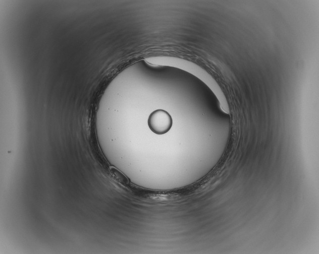 X0000111610558200908071333