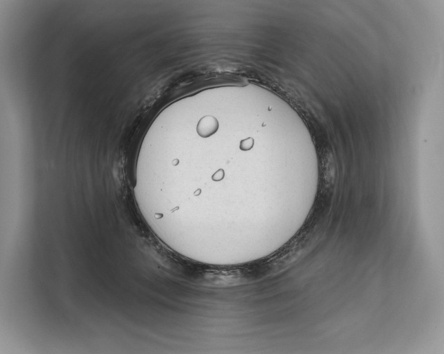 X0000111610559200908071333