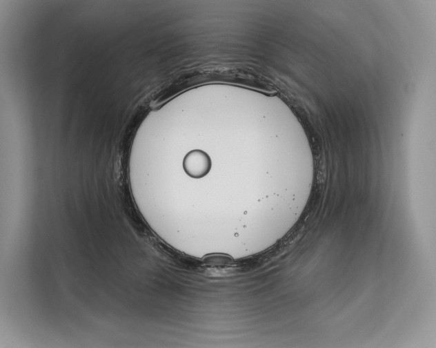 X0000111610560200908071333