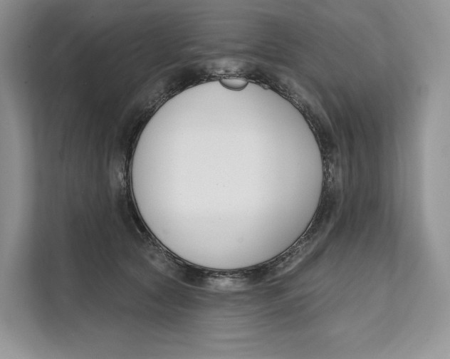 X0000111610561200908071333