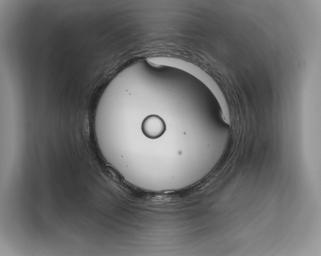 X0000111610562200908071333