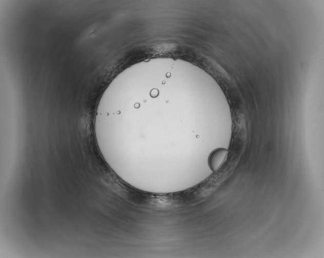 X0000111610565200908071333