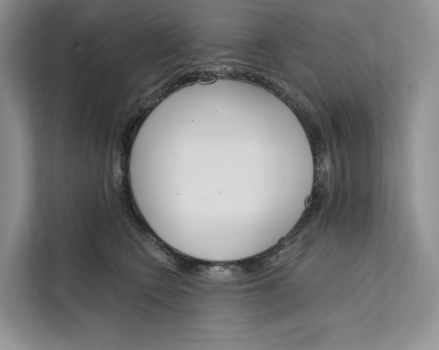 X0000111610566200908071333