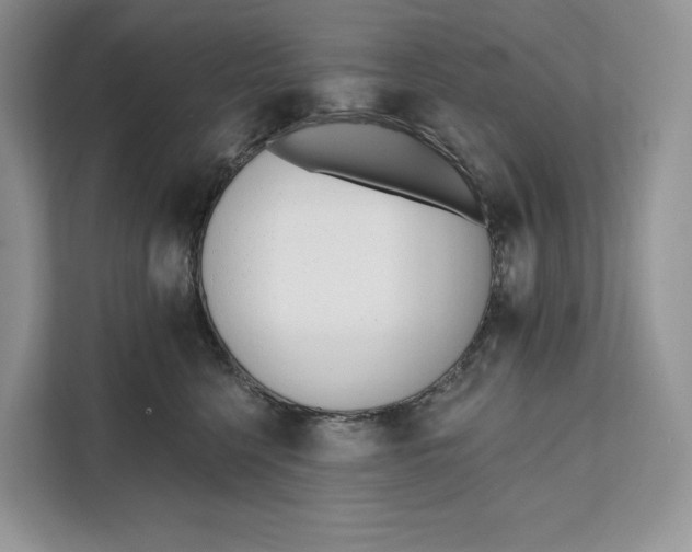 X0000111610568200908071333