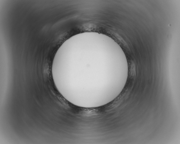 X0000111610569200908071333