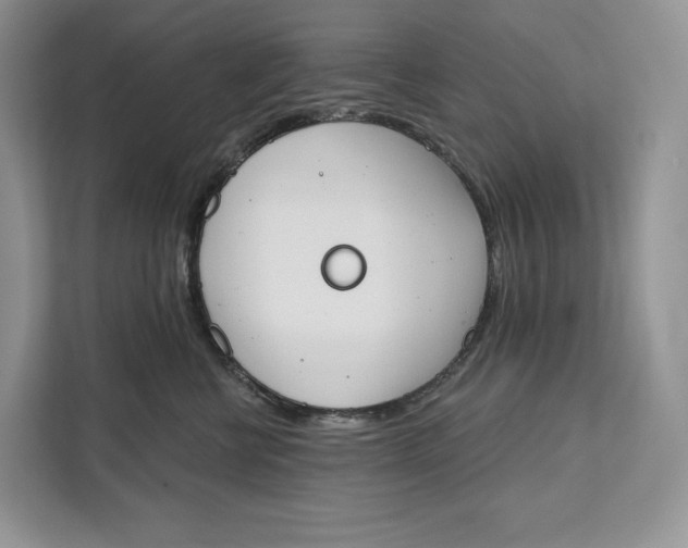 X0000111610570200908071333