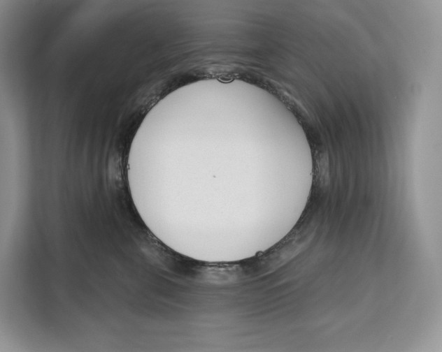 X0000111610571200908071333