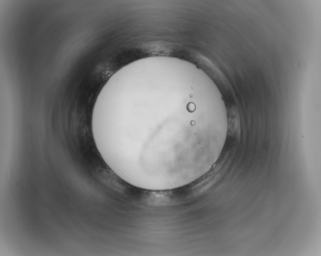 X0000111610573200908071333