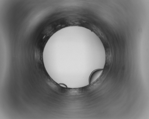 X0000111610574200908071333