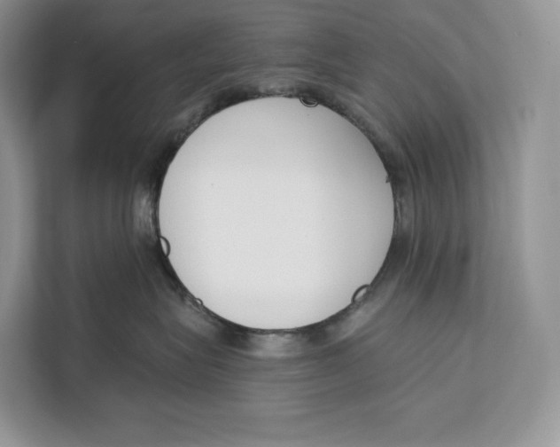X0000111610575200908071333